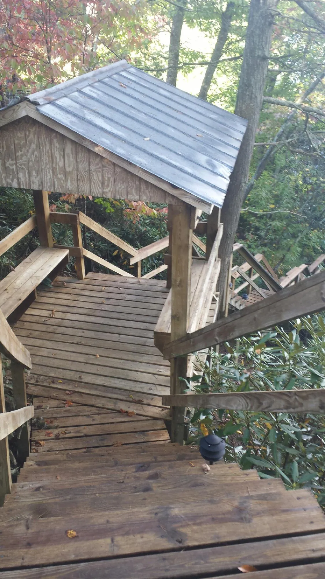 Metal roofed shelter over wooden steps on a wooded walkway — Skylight Repair & Installation work by our crew in Taylors
